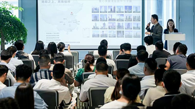 企业法律咨询服务方案加盟代理：揭秘合规风险与专业选择**